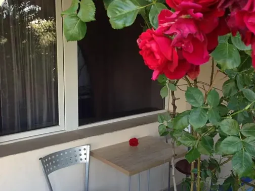 "Casablanca" гостиница, Межводное Фото: 38 из 41