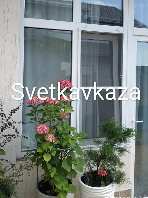 "SvetKavkaza" гостевой дом, Лазаревское Фото: 17 из 45