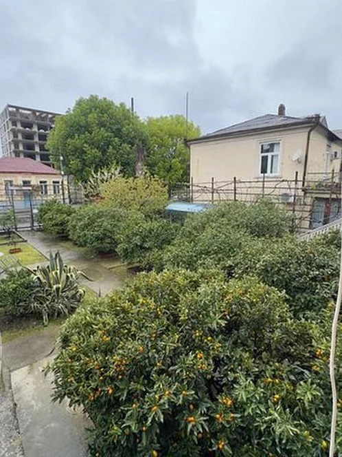 Частный сектор Ардзинба 219, Гагра Фото: 7 из 50