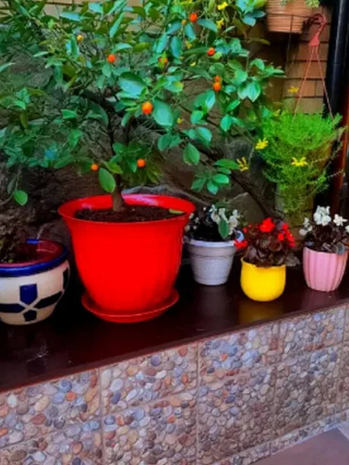 "Карина" гостевой дом, Адлер Фото: 23 из 51