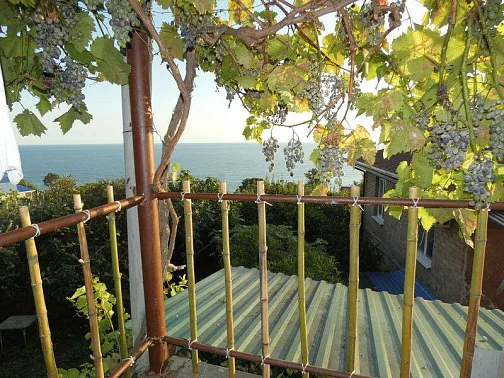 "С видом на море" гостевой дом, Цандрипш Фото: 4 из 15