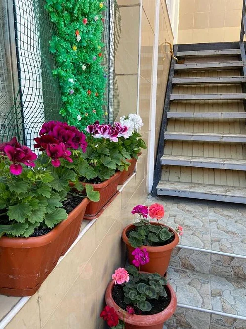 "У Реки" частный сектор, Джубга Фото: 7 из 44