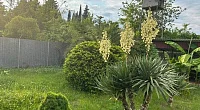 Полдома под-ключ Песочная 70, Цандрипш