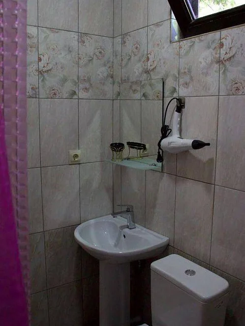 "Bartsits' Guest House" гостевой дом, Новый Афон Фото: 19 из 34