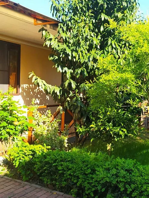 "На Лакоба" мини-гостиница, Гагра Фото: 4 из 49