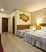 "Стандарт плюс"