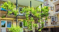 "Березы" гостевой дом, Геленджик