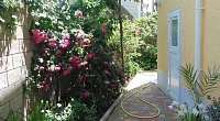 "Гармония" гостевой дом, Алушта