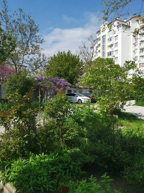 2х-комнатная квартира Мира 2, Геленджик Фото: 4 из 16