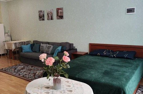 Квартира-студия Фото: 17 из 22