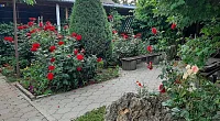 "Астери" гостевой дом, Кучугуры