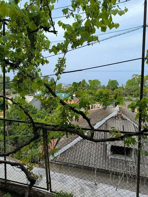 "У Офелии" частный сектор, Гагра Фото: 4 из 28