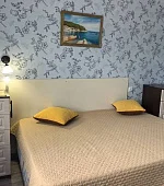 2х-комнатная квартира