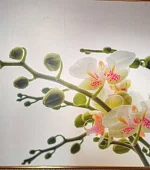 "Домик Япония" 3х-4х-местный