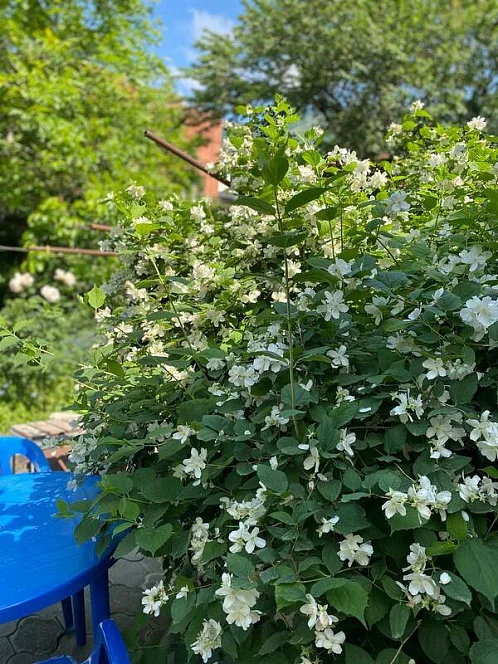 Частный сектор Маячная 37, Геленджик Фото: 12 из 42