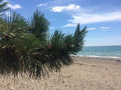 "С морем за калиткой" дом под-ключ, Мачара Фото: 32 из 39