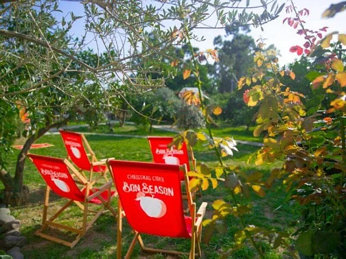 "Мэри" гостиница, Новый Афон Фото: 20 из 51