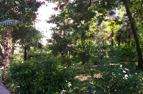 Квартира-студия Фото: 12 из 13