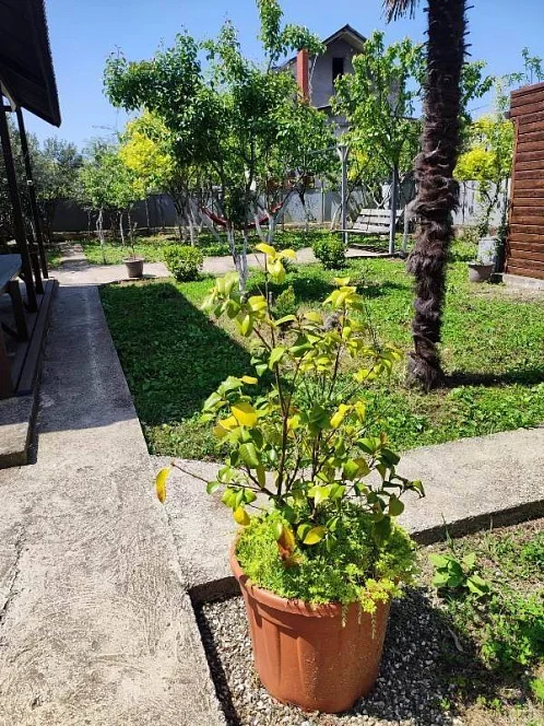 Дом под-ключ Братьев Эзугбая 12-й проезд 17, Сухум Фото: 12 из 33