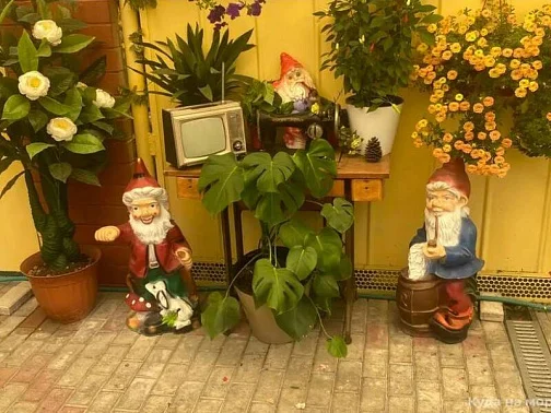 "Кристина" частное домовладение, Анапа Фото: 5 из 14