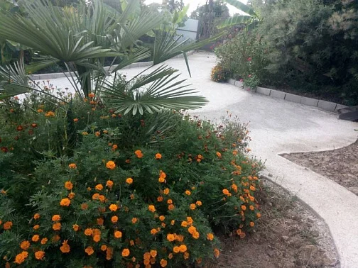 "У Комаровых" гостевой дом, Новый Афон Фото: 7 из 14