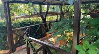 "Лиза" частный сектор, Гагра