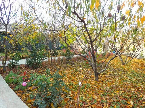 "Хан-Чаир (лесной сад)" гостевой дом, Бахчисарай Фото: 5 из 16