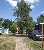 "Место под палатку с автомобилем"