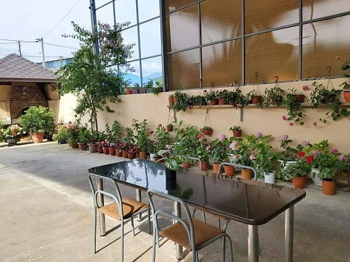 "У Нико и Джульетты" частный сектор, Цандрыпш Фото: 6 из 38