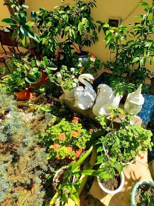 "Жанна" гостевой дом, Геленджик Фото: 8 из 25