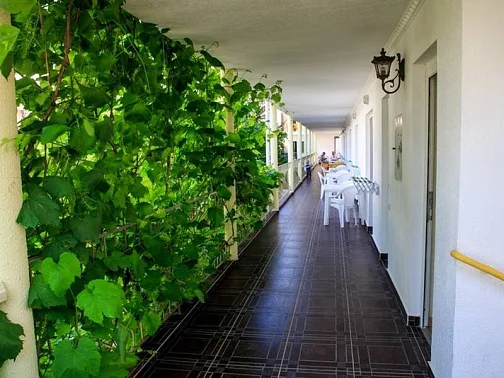 "Панорама" гостевой дом, Дивноморское Фото: 14 из 51