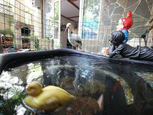 "Комнаты в найм Adler Home" частный сектор, Адлер Фото: 12 из 46