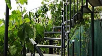"Зеленый дворик" частный сектор, Курортное