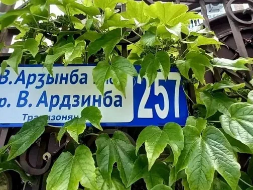"Золотая вилла Бугенвиллия" гостевой дом, Гагра Фото: 9 из 49