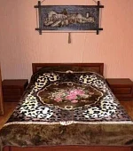 2х-комнатная квартира 2х-комнатная квартира