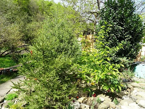 "Корвет" 2 дома под-ключ, Каткова Щель Фото: 27 из 29