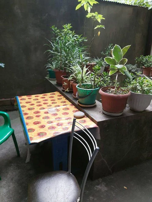 Частный сектор Говорова 9, Лазаревское Фото: 6 из 15