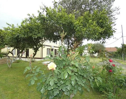 "На Речной" частный сектор, Лдзаа Фото: 4 из 51