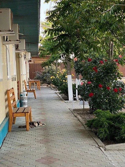 "Атлантик" база отдыха, Темрюк Фото: 4 из 34
