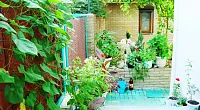 "Елена" гостевой дом, Анапа