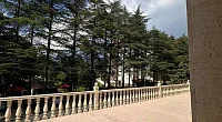 "Амзара" гостевой дом, Пицунда