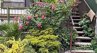 "Хулкур" частный сектор, Симеиз