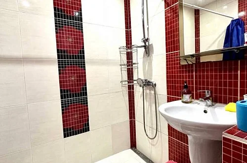 3х-комнатная квартира Фото: 15 из 14