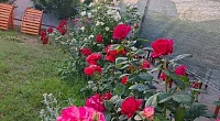 Гостевой дом Ленина, Кучугуры