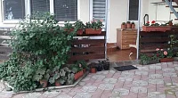 "В тени ливанского кедра" частный сектор, Алупка