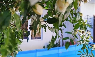 "Ласточкино гнездо" гостевой дом, Вардане Фото: 1 из 43