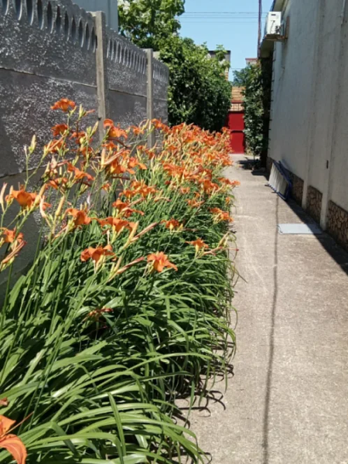 "НАШ КАЗАНТИП" гостевой дом, Новоотрадное Фото: 8 из 51