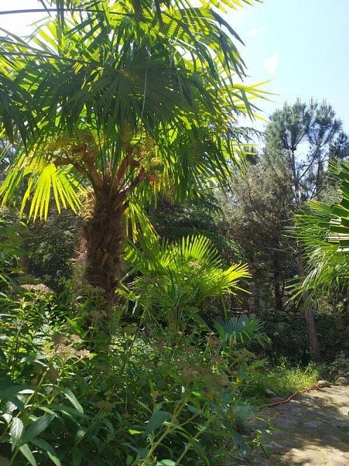 "Добрыня" частный сектор, Партенит Фото: 3 из 49