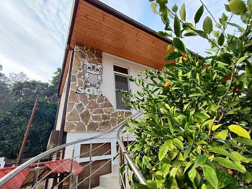 "SOVA" мини-гостиница, Пицунда Фото: 2 из 45