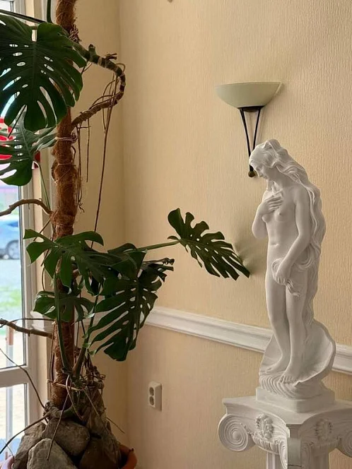 "Афродита" гостиница, Агой Фото: 13 из 45